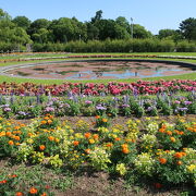 広大な無料の公園、服部緑地公園 ♪