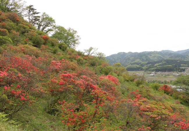 風呂山公園