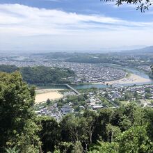 蝉がうるさかった。