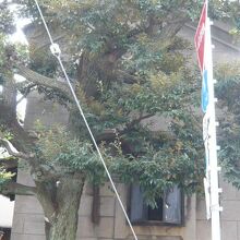 母屋の西側に土蔵があります。どっしりとした構造には重みがあり