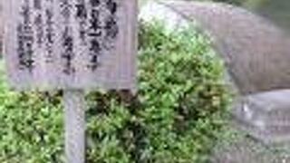 大きな噴水があります