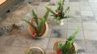 晶子にちなんで