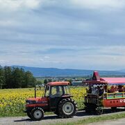 トラクター遊覧車にＢ級グルメ