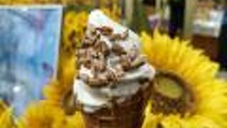 道の駅として使える部分は小さい