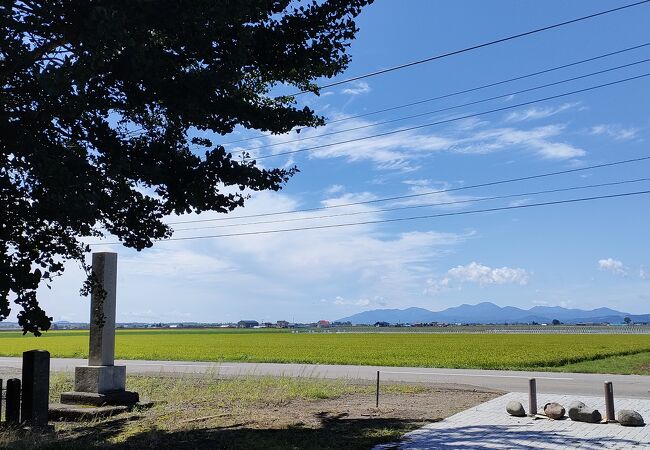 芽生神社