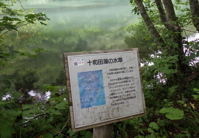 十和田湖から五両の滝まで