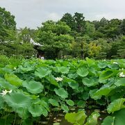 法金剛院 