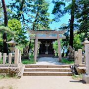 天橋立の松林にひっそり佇む神社は恋愛成就のパワースポット