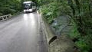 奥入瀬渓谷脇の道