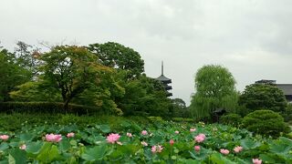 東寺