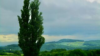 確か昔CMで見たかも