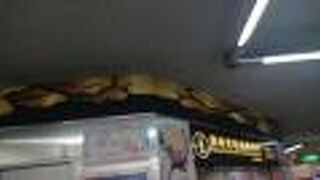 お盆の午後、案内所に行列が