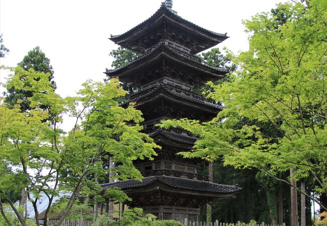 越後佐渡　古寺名刹　新潟日報 妙宣寺 クチコミ・アクセス・営業時間｜佐渡島【フォートラベル】