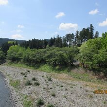 釜の淵公園：鮎美橋から新緑の桜並木を遠望する。