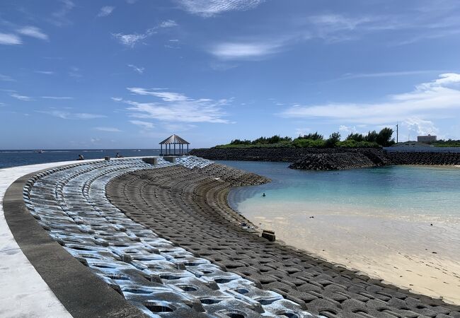 海亀と会えました！