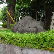 広々とした気持ちの良い公園です。