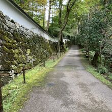 静かな参道を上っていきます。