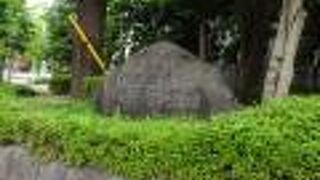 広々とした気持ちの良い公園です。