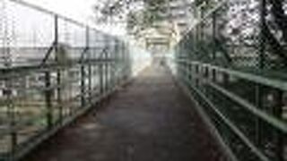 飛鳥山公園から階段を降りてこの橋を渡りました。