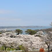 桜の季節に訪問、絶景でした