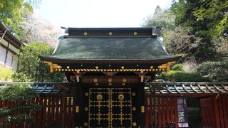 豪華で伊達氏の栄華を感じました。