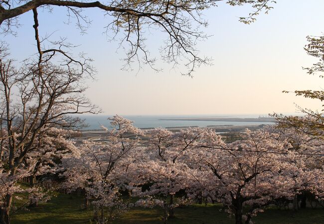 石巻の公園 植物園 クチコミ人気ランキングtop11 フォートラベル 宮城県