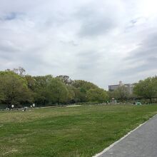 多摩川緑地福生南公園