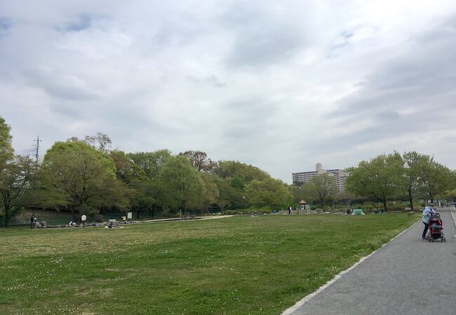 多摩川緑地福生南公園