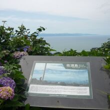 向こうに見えるのは佐渡島。