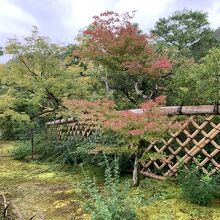 斜めに竹を編んだ光悦垣が有名です。