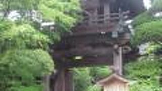 鐘楼門が妙に縦長に感じます。