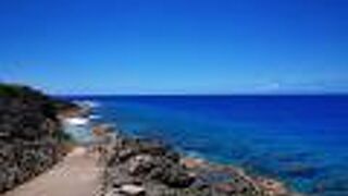 天然プールも良いですが、窪みにいる熱帯魚観察が素敵