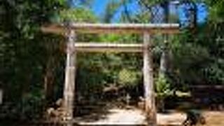 コウモリの生息森もある厳かな雰囲気