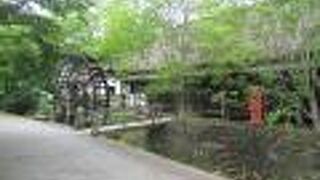 萱葺き屋根の見納め。