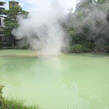 池の温度は９５度とかで、大量の噴気と共に硫黄の香りを放つ