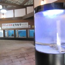 水族館の様子