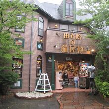 街道沿いの猫屋敷