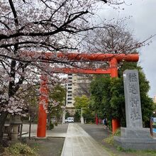 稲毛神社