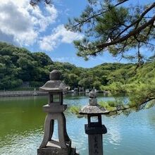 池の様子です。