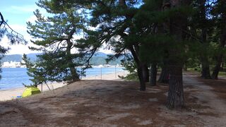 意外に広くて松林の中を歩ける