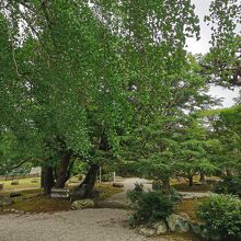 本居宣長旧宅