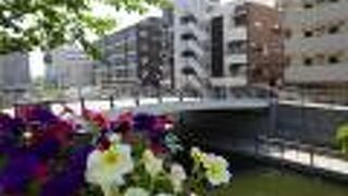 北十間川に架かる歩行者専用の橋