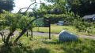 関東有数の大名千葉氏の居城