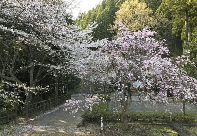 花筐公園