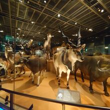 ここがおすすめ