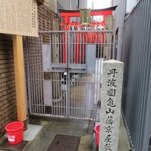 謎めいた雰囲気です