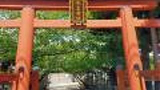 氷の関係者から崇敬を集める神社