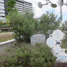 明治通りから見る水上公園