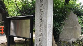 本殿の前に白い猫がいました。