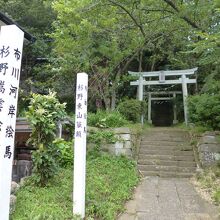 琴平神社